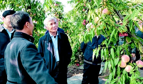 2019年10月18日至19日，全国人大常委会副委员长、民盟中央主席丁仲礼一行赴河南焦作开展脱贫攻坚民主监督调研活动。