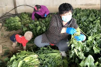 微信图片_20200617111653