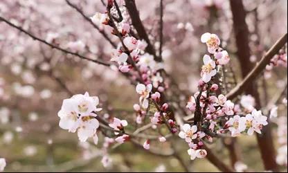 微信图片_20200617111707