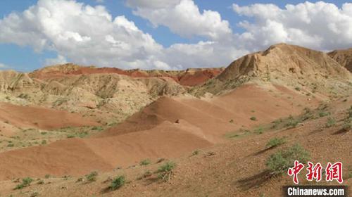 中科院团队在内蒙古发现亚洲已知最早圆柱齿鼠类化石