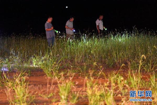 在岳阳市君山区的洞庭湖大堤上，工作人员和群众在夜晚巡堤查险（7月11日摄）。 新华社记者 陈泽国 摄