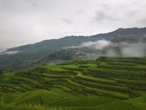 微信图片_20200715093620