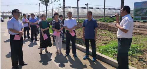 建言乡村产业振兴