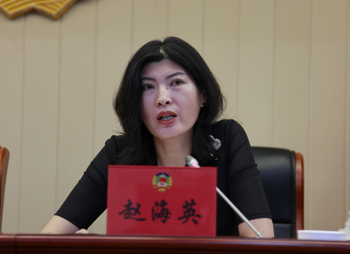 赵海英部长讲话