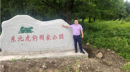 东北虎豹公园摄影图