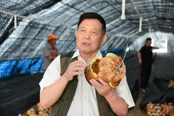 微信图片_20200928144524