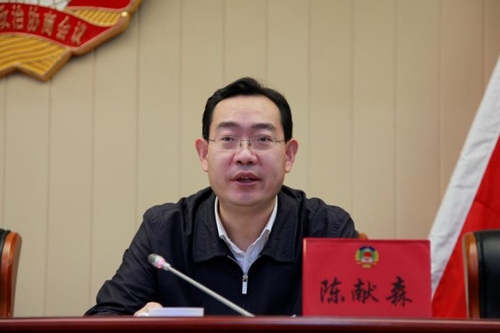 区委常委、副区长陈献森在会上讲话