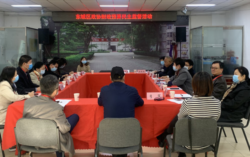 委员们听取专项汇报