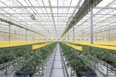 1605000432(1) 1605000432(1)