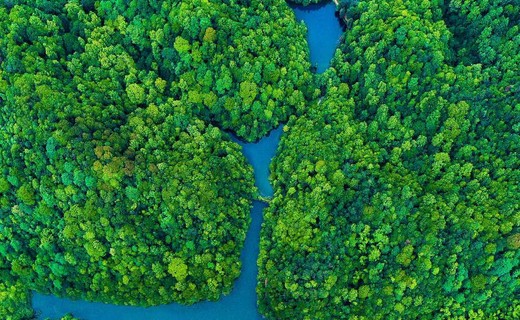 【共舞长江经济带·看高质量发展】北纬31°，李白曾在这里留下诗文