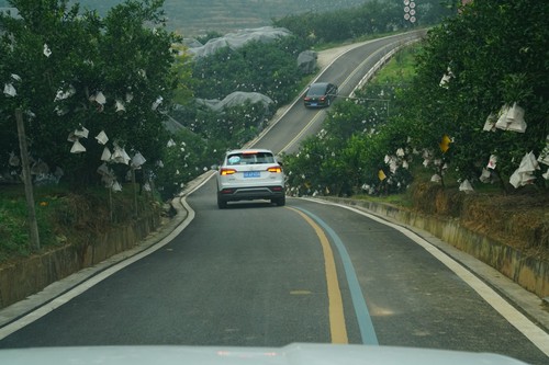 记者驾车体验“四好农村路”，深入桔园等现场采访。1