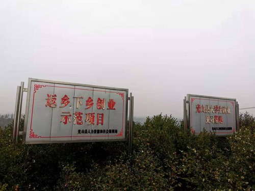 光山近年大力发展油茶产业，农民返乡创业成热潮。人民政协网记者付振强 摄