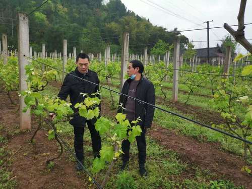 微信图片_20201211123751