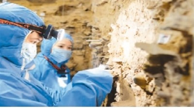 考古工作者在进行DNA样本采集。3