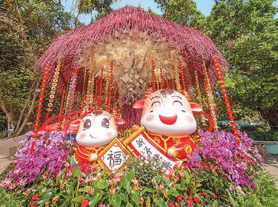 　澳门街头的生肖牛造型花坛。