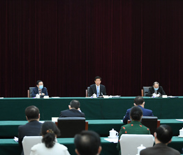 栗战书与致公党、侨联、对外友好界别政协委员共商国是