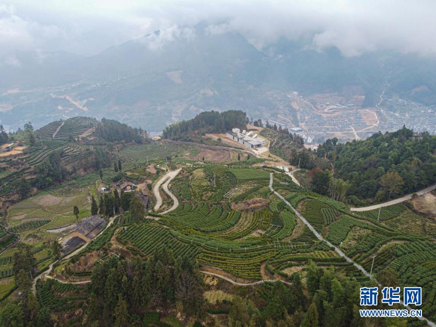    唱起畲歌颂党恩：生活很甜，希望更美 