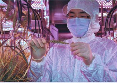 向高等教育强国迈进