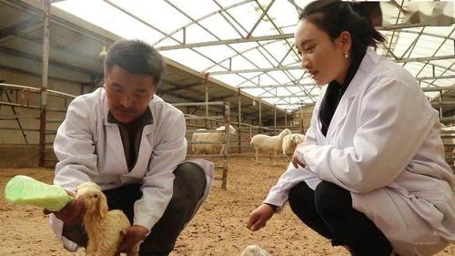 张雅萍（右一）在养殖场工作 受访者供图