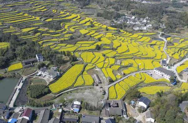 微信图片_20210526175913 微信图片_20210526175913