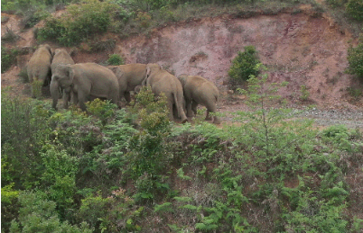 微信截图_20210605162829