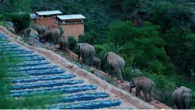 微信截图_20210605162839