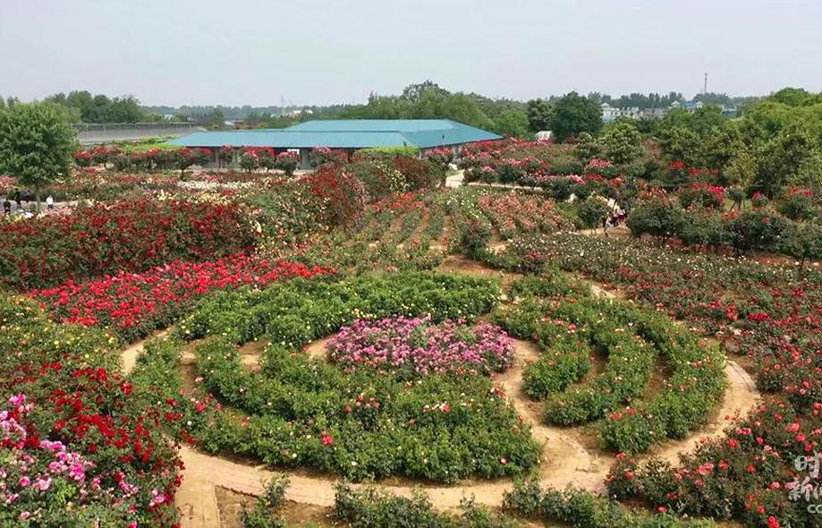 【网络媒体革命老区行】习近平总书记关注的这些名人、名产，到底啥来头？