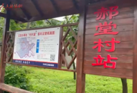 【网络媒体革命老区行】信阳郝堂：乡村蝶变入画来