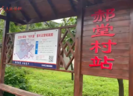 【网络媒体革命老区行】信阳郝堂：乡村蝶变入画来