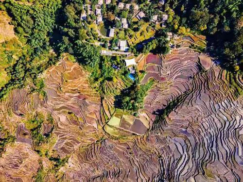 微信图片_20210621131322