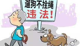 一案一说 | 行人被宠物狗惊吓摔倒，狗主人要担责吗？