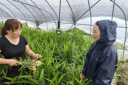 微信图片_20210726145202