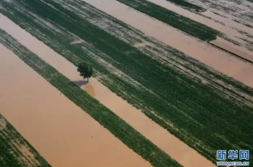 微信截图_20210812095932