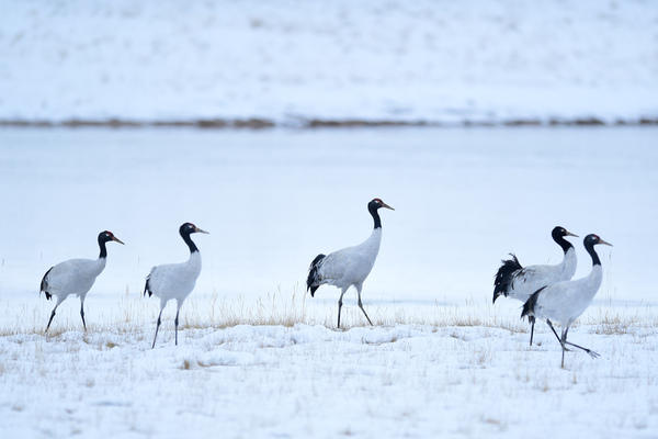 (新华全媒头条·图文互动)(6)大河奔涌(629752)-20211024023601 (新华全媒头条·图文互动)(6)大河奔涌(629752)-20211024023601