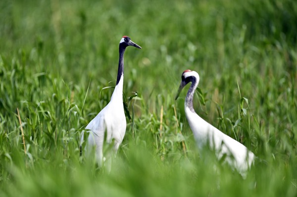 (新华全媒头条·图文互动)(7)大河奔涌(629753)-20211024023613 (新华全媒头条·图文互动)(7)大河奔涌(629753)-20211024023613