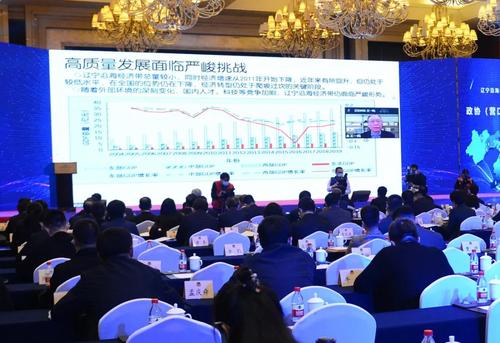 王一鸣在线上做主旨发言。