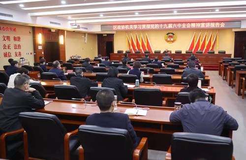 东城区政协召开学习贯彻党的十九届六中全会精神宣讲报告会