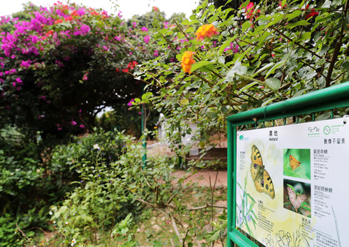 （港澳台·香港故事·图文互动）（2）香港(814293)-20220124103311