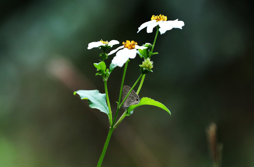 （港澳台·香港故事·图文互动）（3）香港(814295)-20220124103322
