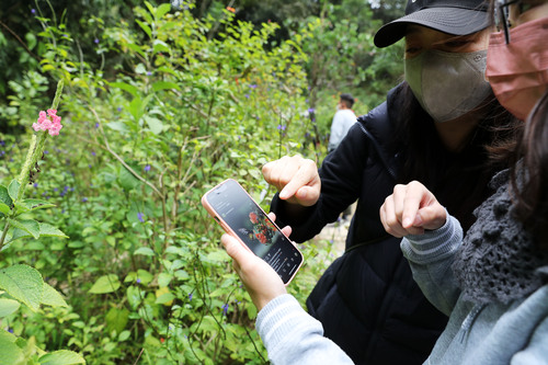 （港澳台·香港故事·图文互动）（4）香港(814294)-20220124103317