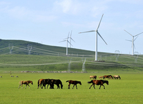 厚植法治思维 践行法治之路