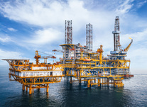 锚定改革发展，推进法治建设  为建成国际一流能源公司提供坚强法治保障