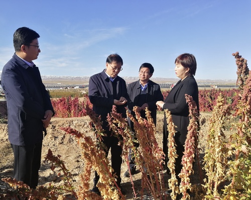 【委员说变化】尚勋武（甘肃+乡村振兴）((891704)-20220304085945