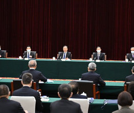 汪洋与民建、工商联界别政协委员共商国是