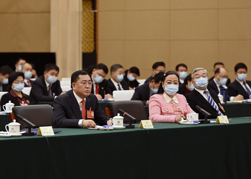 陈志列委员就规范大型民营企业经营风险防范(917206)-20220307073639