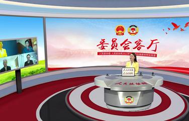 未成年玩网络游戏如何趋利避害，委员们聊得很深入！