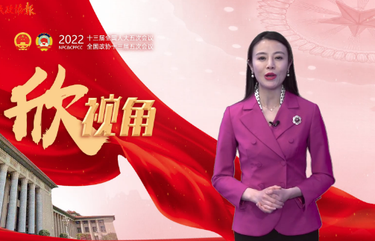 【两会欣视角】最高法工作报告一出，委员们热议开了......