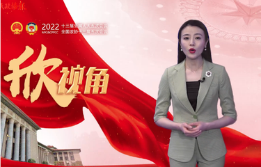 【两会欣视角】惩治网络暴力，法不责众or法“要”责众？