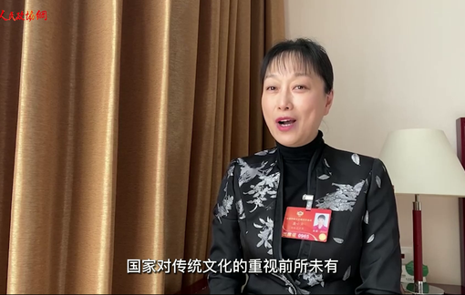 【委员出镜】国风来袭！看看委员们都咋追？