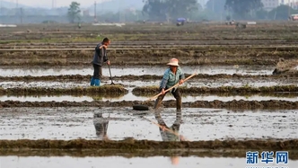 高位推进“地长制”工作